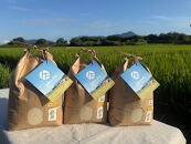 【特別栽培米】久保山百年米-白米3kg×3袋&nbsp;計9kg【精米&nbsp;お米&nbsp;米&nbsp;ご飯&nbsp;ごはん&nbsp;ブランド&nbsp;減農薬&nbsp;減化学肥料&nbsp;元気つくし&nbsp;夢つくし&nbsp;小分け&nbsp;包装&nbsp;ギフト&nbsp;贈答用&nbsp;プレゼント&nbsp;食品&nbsp;ふるさと納税&nbsp;炊飯&nbsp;炊飯器&nbsp;福岡&nbsp;福岡県産&nbsp;筑前&nbsp;筑前町】