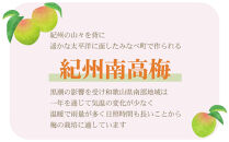 ［訳あり］ご家庭用&nbsp;紀州南高梅&nbsp;はちみつ漬つぶれ梅&nbsp;600g×1個&nbsp;わけあり&nbsp;和歌山県産