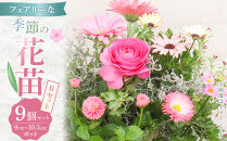 フェアリーな花苗セットB【花苗&nbsp;花苗セット&nbsp;花&nbsp;季節の花&nbsp;花セット&nbsp;ガーデニング&nbsp;家庭菜園&nbsp;園芸&nbsp;初夏&nbsp;夏&nbsp;花壇&nbsp;庭&nbsp;鉢&nbsp;玄関&nbsp;プランター&nbsp;寄せ植え&nbsp;&nbsp;おうち時間&nbsp;趣味&nbsp;ベランダ&nbsp;土っ子倶楽部&nbsp;&nbsp;プレゼント&nbsp;ギフト&nbsp;】