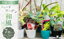 日陰で育つシェードガーデン（和風）セット【花苗&nbsp;花苗セット&nbsp;花&nbsp;季節の花&nbsp;花セット&nbsp;ガーデニング&nbsp;家庭菜園&nbsp;園芸&nbsp;初夏&nbsp;夏&nbsp;花壇&nbsp;庭&nbsp;鉢&nbsp;玄関&nbsp;プランター&nbsp;寄せ植え&nbsp;&nbsp;おうち時間&nbsp;趣味&nbsp;ベランダ&nbsp;土っ子倶楽部&nbsp;&nbsp;プレゼント&nbsp;ギフト&nbsp;】