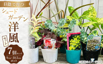 日陰で育つシェードガーデン（洋風）セット【花苗&nbsp;花苗セット&nbsp;花&nbsp;季節の花&nbsp;花セット&nbsp;ガーデニング&nbsp;家庭菜園&nbsp;園芸&nbsp;初夏&nbsp;夏&nbsp;花壇&nbsp;庭&nbsp;鉢&nbsp;玄関&nbsp;プランター&nbsp;寄せ植え&nbsp;&nbsp;おうち時間&nbsp;趣味&nbsp;ベランダ&nbsp;土っ子倶楽部&nbsp;&nbsp;プレゼント&nbsp;ギフト&nbsp;】