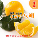 【2026年先行予約】八朔&nbsp;はっさく&nbsp;木成り&nbsp;赤秀&nbsp;10kg&nbsp;3月下旬～4月下旬に順次出荷予定（サイズ不選別）｜和歌山県海南市産&nbsp;完熟はっさく&nbsp;フルーツ&nbsp;柑橘系&nbsp;［Mg70］