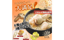 ひとり分の参鶏湯風　1.6Kg（200g×8袋）