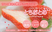 【先行予約】大粒とちあいか1パック＋大粒とちおとめ1パック=（合計）2パック入り【2026年1月上旬より順次発送】&nbsp;|&nbsp;生産量&nbsp;日本一&nbsp;果物&nbsp;フルーツ&nbsp;苺&nbsp;イチゴ&nbsp;農家直送&nbsp;栃木県&nbsp;日光市