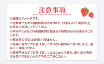【先行予約】大粒とちあいか1パック＋大粒とちおとめ1パック=（合計）2パック入り【2026年1月上旬より順次発送】&nbsp;|&nbsp;生産量&nbsp;日本一&nbsp;果物&nbsp;フルーツ&nbsp;苺&nbsp;イチゴ&nbsp;農家直送&nbsp;栃木県&nbsp;日光市