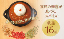 冷凍薬膳カレー　5食入り｜カレー&nbsp;ルー&nbsp;&nbsp;個包装&nbsp;冷凍&nbsp;薬膳カレー&nbsp;本格スパイス&nbsp;健康志向&nbsp;人気&nbsp;おすすめ&nbsp;薬膳&nbsp;スパイシー&nbsp;ヘルシー&nbsp;ギフト&nbsp;送料無料&nbsp;長野県&nbsp;大町市&nbsp;ふるさと納税