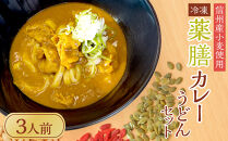 &nbsp;信州産小麦使用　冷凍薬膳カレーうどんセット　3人前｜&nbsp;冷凍&nbsp;&nbsp;カレー&nbsp;うどん&nbsp;信州産&nbsp;&nbsp;人気&nbsp;おすすめ&nbsp;スパイス&nbsp;和風だし&nbsp;健康志向&nbsp;つゆ&nbsp;薬膳料理&nbsp;和食&nbsp;&nbsp;ギフト&nbsp;送料無料&nbsp;長野県&nbsp;大町市&nbsp;ふるさと納税