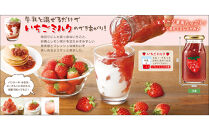 果肉たっぷりいちごミルクの素　5倍希釈　960g　　320g×3本　