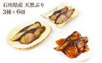 石川県産&nbsp;天然ぶり&nbsp;3種×6切&nbsp;セット&nbsp;肴の匠北珍&nbsp;照焼&nbsp;西京焼&nbsp;酒粕焼&nbsp;|&nbsp;北陸&nbsp;海の幸&nbsp;ぶり&nbsp;ブリ&nbsp;鰤&nbsp;魚&nbsp;ふるさと納税魚&nbsp;ホクチン&nbsp;つまみ&nbsp;酒&nbsp;父の日&nbsp;敬老の日&nbsp;和食&nbsp;お惣菜&nbsp;煮物&nbsp;煮付け&nbsp;焼き魚&nbsp;人気&nbsp;おすすめ&nbsp;送料無料&nbsp;石川&nbsp;金沢&nbsp;加賀百万石&nbsp;北陸復興&nbsp;北陸支援