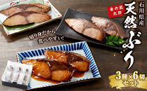 石川県産 天然ぶり 3種×6切 セット 肴の匠北珍 照焼 西京焼 酒粕焼 | 北陸 海の幸 ぶり ブリ 鰤 魚 ふるさと納税魚 ホクチン つまみ 酒 父の日 敬老の日 和食 お惣菜 煮物 煮付け 焼き魚 人気 おすすめ 送料無料 石川 金沢 加賀百万石 北陸復興 北陸支援