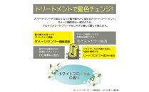 Tottimo!&nbsp;ディップカラー　シルバー　500g