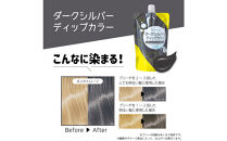 Tottimo!&nbsp;ディップカラー　ダークシルバー　500g