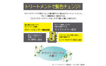 Tottimo!&nbsp;ディップカラー　ダークシルバー　500g