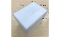 アイス ピスタチオ 11個 シンカンセンスゴイカタイアイス