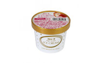 アイス 11個 詰め合わせ【チョコ入り】 シンカンセンスゴイカタイアイス 詰合せ