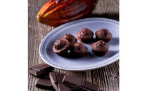 【季節限定】＜シーキューブ＞ティラミス・ファンタジスタ　S　CAS(TF)-30