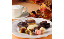 【季節限定】＜シーキューブ＞ティラミス・ファンタジスタ　M　CAS(TF)-40