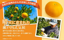 瀬戸内温州みかん（2L～Mサイズ混合）約10kg【2026年10月中旬～2027年1月下旬配送】