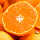 瀬戸内温州みかん（2L～Mサイズ混合）約10kg【2026年10月中旬～2027年1月下旬配送】