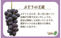【2026年8月以降順次発送】福岡市産巨峰2000g   5房前後【北海道・沖縄・離島発送不可】