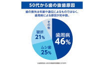 ライオン&nbsp;デントヘルス薬用ハミガキしみるブロック85ｇ（医薬部外品）×１０個