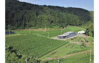 リバーウィンズルージュRIVER WINDS ROUGE2024　750ml×1本【 赤ワイン お酒 アルコール アルコール飲料 晩酌 家飲み 宅飲み 飲み会 集まり バーベキュー BBQ イベント 飲み物】