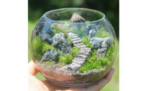 《苔テラリウム・コケリウム》階段の風景&nbsp;ボウルLL