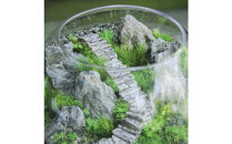 《苔テラリウム・コケリウム》階段の風景&nbsp;ボウルLL