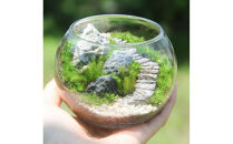 《苔テラリウム・コケリウム》階段の風景&nbsp;ボウルL