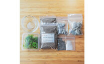 【渓流編】苔テラリウム制作キット（ツール付き）