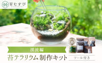 【渓流編】苔テラリウム制作キット（ツール付き）
