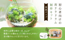 【渓流編】苔テラリウム制作キット（ツール付き）