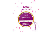 【復興支援】フローズンブルーベリー＆ビネガージェラートセット