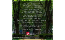 冬季限定　老舗蒲鉾職人の技&nbsp;『ずわいほたて仙台伊達巻』高級本格かにかま