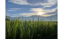 【全10回】[令和7年産]JAS認定&nbsp;有機栽培米[定期便]農薬・化学肥料不使用の米&nbsp;南魚沼産こしひかり5kgx10回（月1回)八海山の里で実りました。