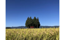 【全10回】[令和7年産]JAS認定&nbsp;有機栽培米[定期便]農薬・化学肥料不使用の米&nbsp;南魚沼産こしひかり5kgx10回（月1回)八海山の里で実りました。