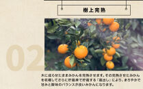 和歌山県産&nbsp;下津蔵出しみかん&nbsp;家庭用&nbsp;3kg&nbsp;(サイズおまかせSまたはMのいずれか)&nbsp;農家直送&nbsp;手選別