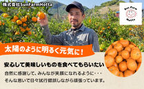 和歌山県産&nbsp;下津蔵出しみかん&nbsp;家庭用&nbsp;3kg&nbsp;(サイズおまかせSまたはMのいずれか)&nbsp;農家直送&nbsp;手選別