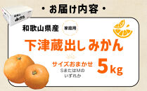 和歌山県産&nbsp;下津蔵出しみかん&nbsp;家庭用&nbsp;5kg&nbsp;(サイズおまかせSまたはMのいずれか)&nbsp;農家直送&nbsp;手選別