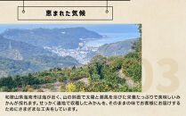 和歌山県産&nbsp;下津蔵出しみかん&nbsp;家庭用&nbsp;5kg&nbsp;(サイズおまかせSまたはMのいずれか)&nbsp;農家直送&nbsp;手選別