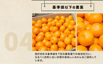 和歌山県産&nbsp;下津蔵出しみかん&nbsp;家庭用&nbsp;5kg&nbsp;(サイズおまかせSまたはMのいずれか)&nbsp;農家直送&nbsp;手選別