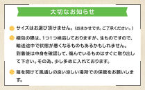 和歌山県産&nbsp;下津蔵出しみかん&nbsp;家庭用&nbsp;5kg&nbsp;(サイズおまかせSまたはMのいずれか)&nbsp;農家直送&nbsp;手選別