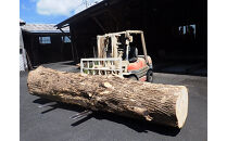 榧（かや）のまな板【大】