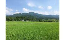 【令和7年産】佐渡高千産コシヒカリ　精米27kg×1袋