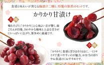 ちくほくのうめ想い&nbsp;四宝の膳｜梅&nbsp;うめ&nbsp;甘漬け&nbsp;大梅&nbsp;小梅&nbsp;塩昆布漬け&nbsp;きゅうり&nbsp;佃煮&nbsp;手作り&nbsp;人気&nbsp;おすすめ&nbsp;梅干し&nbsp;梅漬け&nbsp;国産&nbsp;梅&nbsp;&nbsp;健康&nbsp;ギフト&nbsp;贈答&nbsp;送料無料&nbsp;ふるさと納税&nbsp;長野県&nbsp;筑北村