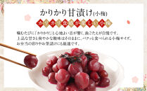 ちくほくのうめ想い&nbsp;ひとくちの彩｜梅&nbsp;うめ&nbsp;甘漬け&nbsp;小梅&nbsp;塩昆布漬け&nbsp;手作り&nbsp;人気&nbsp;おすすめ&nbsp;梅干し&nbsp;梅漬け&nbsp;国産&nbsp;梅&nbsp;&nbsp;健康&nbsp;ギフト&nbsp;贈答&nbsp;送料無料&nbsp;ふるさと納税&nbsp;長野県&nbsp;筑北村