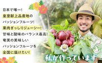 【2026年発送】《皇室献上品産地のパッションフルーツ》奄美大島瀬戸内町産　大玉12個入り／約1kg【先行予約&nbsp;2026年&nbsp;果物&nbsp;フルーツ&nbsp;くだもの&nbsp;パッションフルーツ&nbsp;南国&nbsp;産地直送&nbsp;甘み&nbsp;奄美&nbsp;鹿児島&nbsp;瀬戸内町】