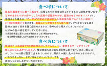 【2026年発送】《皇室献上品産地のパッションフルーツ》奄美大島瀬戸内町産　大玉12個入り／約1kg【先行予約&nbsp;2026年&nbsp;果物&nbsp;フルーツ&nbsp;くだもの&nbsp;パッションフルーツ&nbsp;南国&nbsp;産地直送&nbsp;甘み&nbsp;奄美&nbsp;鹿児島&nbsp;瀬戸内町】