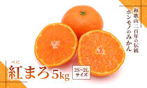 みかん『紅まろ（べにまろ）』2S～2Lサイズ 5kg ［糖度11度以上］