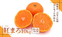 みかん『紅まろ（べにまろ）』2S～2Lサイズ 10kg ［糖度11度以上］